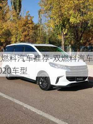 双燃料汽车推荐-双燃料汽车2020车型