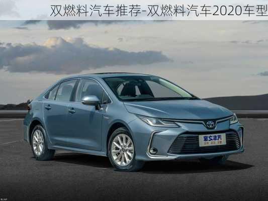 双燃料汽车推荐-双燃料汽车2020车型