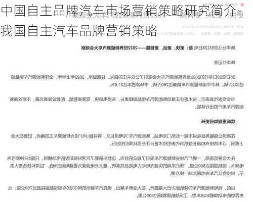 中国自主品牌汽车市场营销策略研究简介-我国自主汽车品牌营销策略