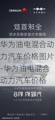 华为油电混合动力汽车价格图片-华为油电混合动力汽车价格