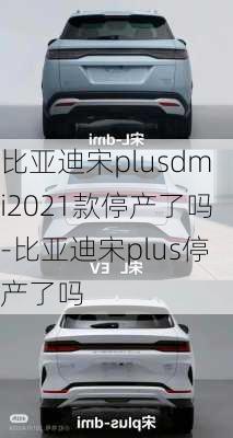 比亚迪宋plusdmi2021款停产了吗-比亚迪宋plus停产了吗