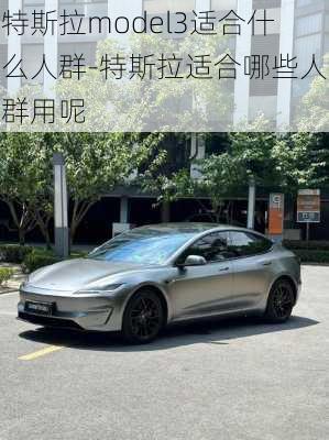 特斯拉model3适合什么人群-特斯拉适合哪些人群用呢