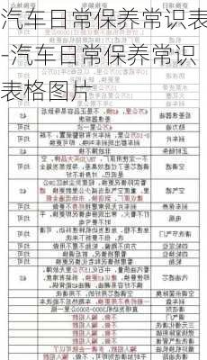 汽车日常保养常识表-汽车日常保养常识表格图片