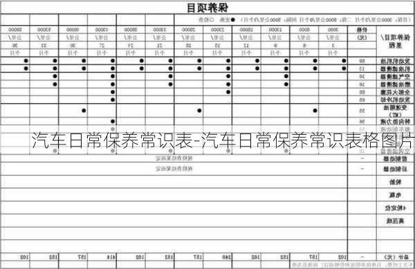 汽车日常保养常识表-汽车日常保养常识表格图片