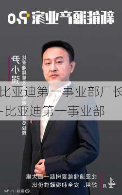 比亚迪第一事业部厂长-比亚迪第一事业部