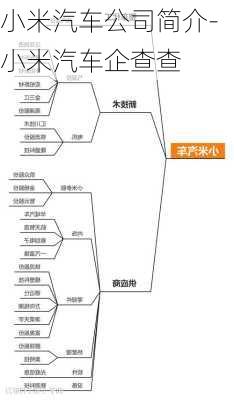 小米汽车公司简介-小米汽车企查查