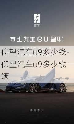 仰望汽车u9多少钱-仰望汽车u9多少钱一辆