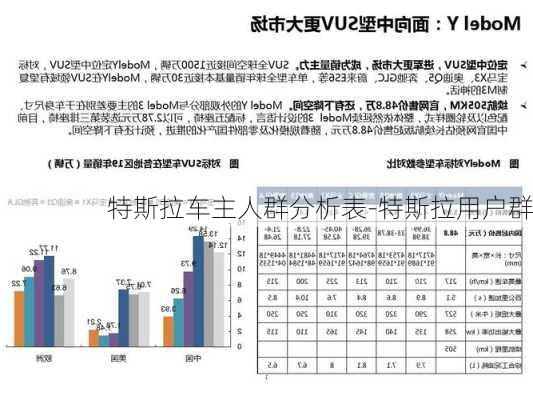 特斯拉车主人群分析表-特斯拉用户群