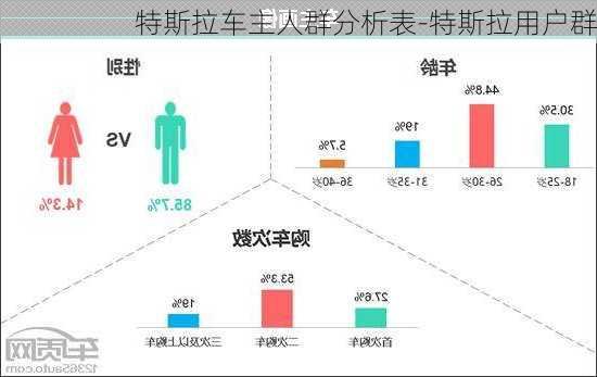 特斯拉车主人群分析表-特斯拉用户群