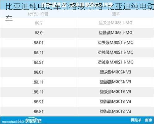 比亚迪纯电动车价格表 价格-比亚迪纯电动车