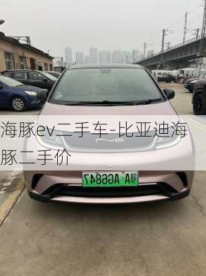 海豚ev二手车-比亚迪海豚二手价