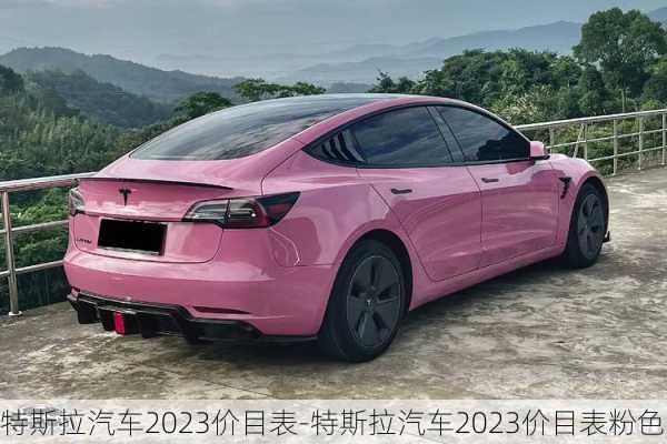 特斯拉汽车2023价目表-特斯拉汽车2023价目表粉色