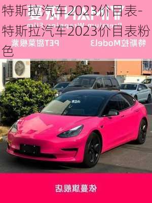 特斯拉汽车2023价目表-特斯拉汽车2023价目表粉色