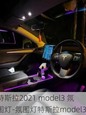 特斯拉2021 model3 氛围灯-氛围灯特斯拉model3