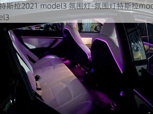 特斯拉2021 model3 氛围灯-氛围灯特斯拉model3