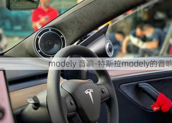 modely 音响-特斯拉modely的音响