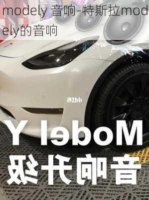 modely 音响-特斯拉modely的音响