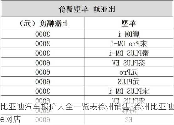 比亚迪汽车报价大全一览表徐州销售-徐州比亚迪e网店