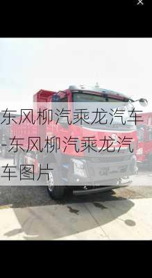 东风柳汽乘龙汽车-东风柳汽乘龙汽车图片