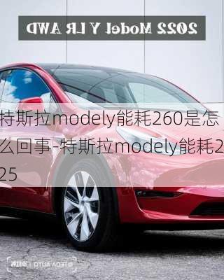 特斯拉modely能耗260是怎么回事-特斯拉modely能耗225