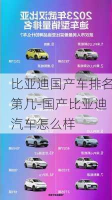 比亚迪国产车排名第几-国产比亚迪汽车怎么样