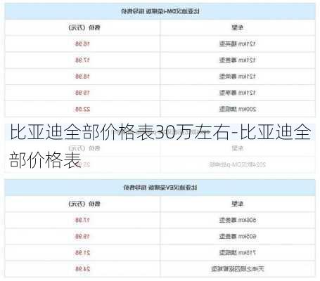 比亚迪全部价格表30万左右-比亚迪全部价格表