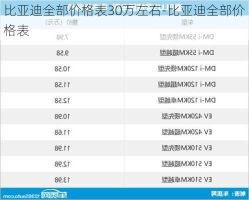 比亚迪全部价格表30万左右-比亚迪全部价格表