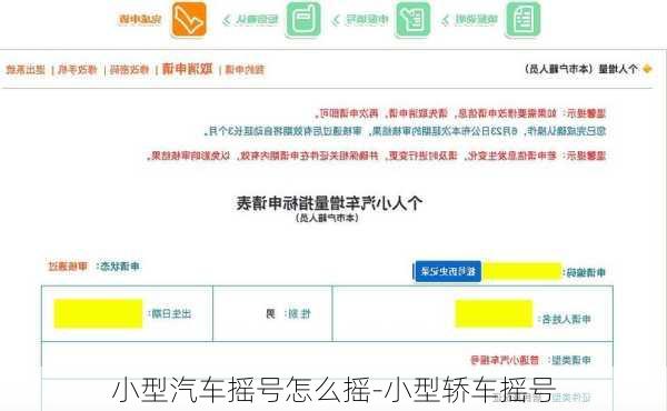 小型汽车摇号怎么摇-小型轿车摇号