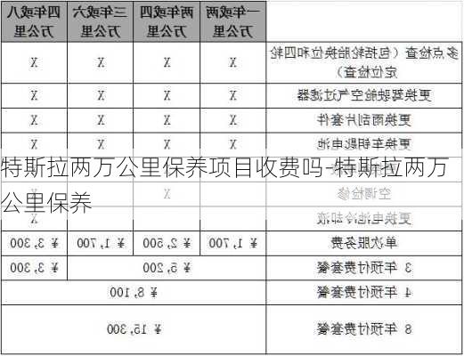 特斯拉两万公里保养项目收费吗-特斯拉两万公里保养