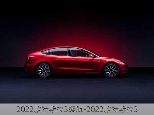 2022款特斯拉3续航-2022款特斯拉3