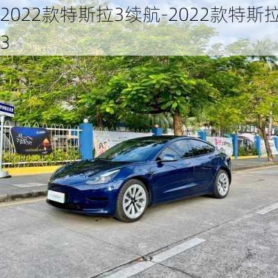 2022款特斯拉3续航-2022款特斯拉3