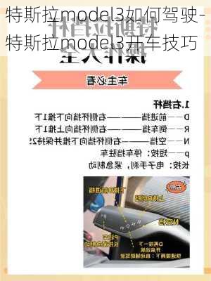 特斯拉model3如何驾驶-特斯拉model3开车技巧