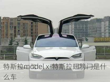 特斯拉model x-特斯拉翅膀门是什么车