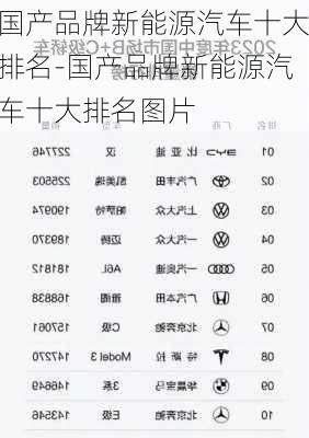 国产品牌新能源汽车十大排名-国产品牌新能源汽车十大排名图片