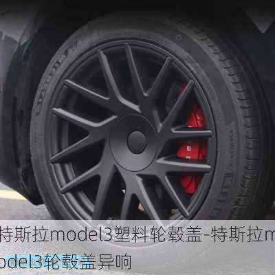 特斯拉model3塑料轮毂盖-特斯拉model3轮毂盖异响