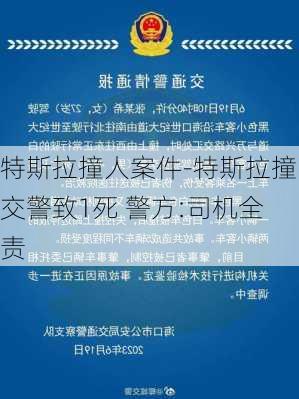 特斯拉撞人案件-特斯拉撞交警致1死 警方:司机全责