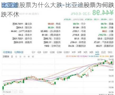 比亚迪股票为什么大跌-比亚迪股票为何跌跌不休