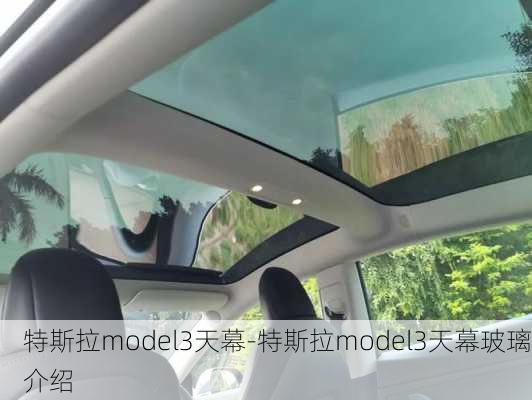 特斯拉model3天幕-特斯拉model3天幕玻璃介绍