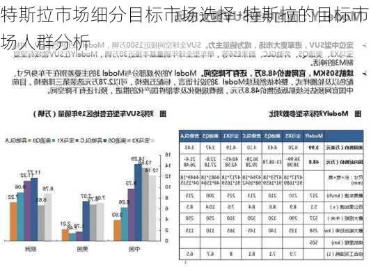 特斯拉市场细分目标市场选择-特斯拉的目标市场人群分析