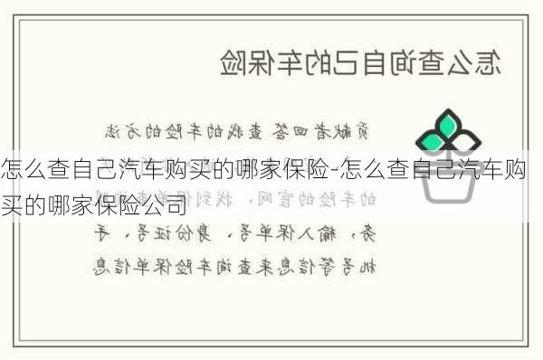 怎么查自己汽车购买的哪家保险-怎么查自己汽车购买的哪家保险公司