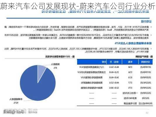 蔚来汽车公司发展现状-蔚来汽车公司行业分析