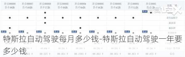 特斯拉自动驾驶每月多少钱-特斯拉自动驾驶一年要多少钱