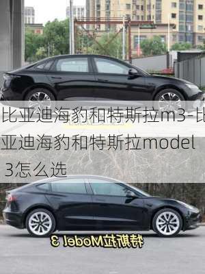 比亚迪海豹和特斯拉m3-比亚迪海豹和特斯拉model 3怎么选