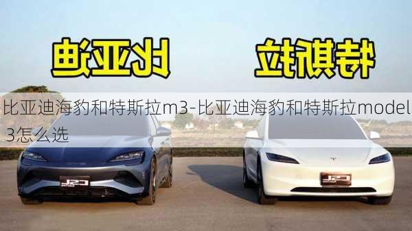 比亚迪海豹和特斯拉m3-比亚迪海豹和特斯拉model 3怎么选