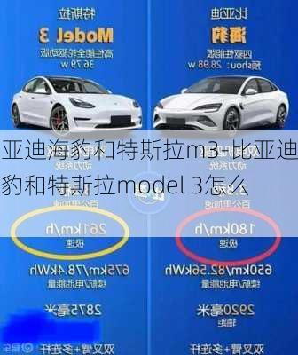 比亚迪海豹和特斯拉m3-比亚迪海豹和特斯拉model 3怎么选