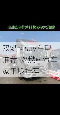 双燃料suv车型推荐-双燃料汽车家用版推荐