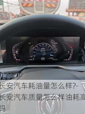 长安汽车耗油量怎么样?-长安汽车质量怎么样油耗高吗