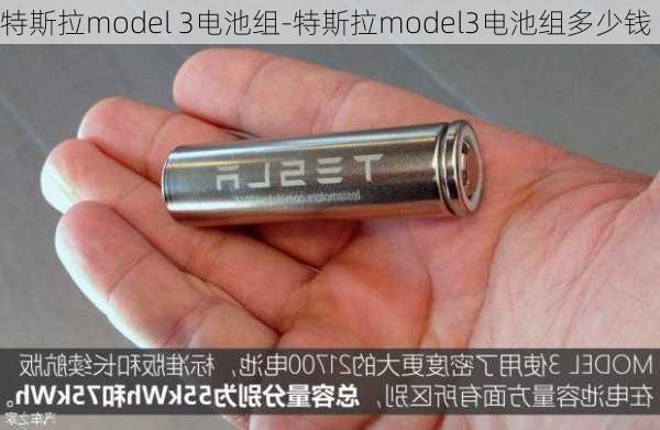 特斯拉model 3电池组-特斯拉model3电池组多少钱