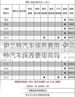 伊兰特汽车保养费用-伊兰特汽车保养费用高吗