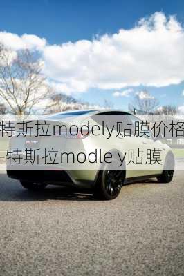 特斯拉modely贴膜价格-特斯拉modle y贴膜